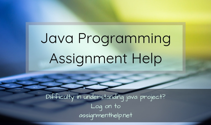 Programming assignment help uk