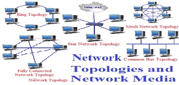 Network Topologies And Network Media