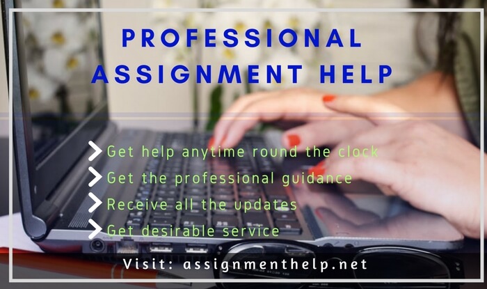 Professional Assignment Help By Online Tutoring Sessions