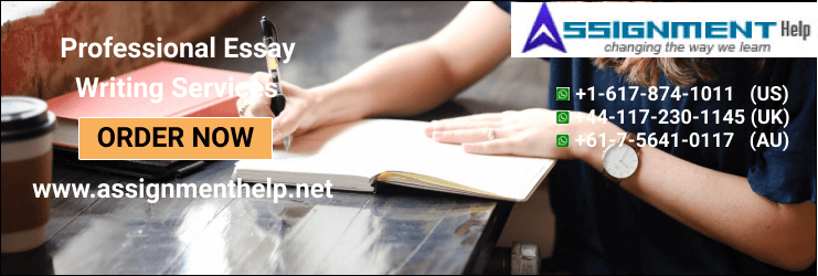 Professional essay writing services