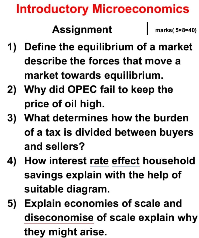 Introductory microeconomics assignment