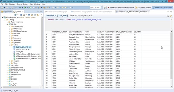 SAP HANA Data Modeling Case Study Image 17