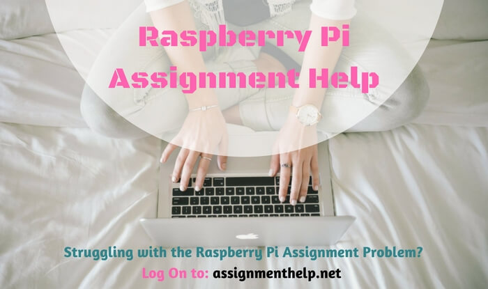 Raspberry Pi Assignment Help