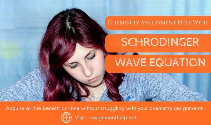 Schrodinger Wave Equation Assignment Help