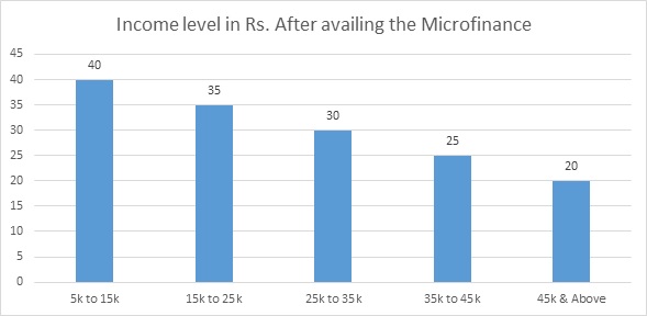 The Impact of Microfinancing img11