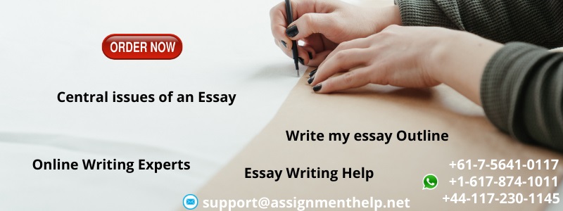 Write my essay Outline