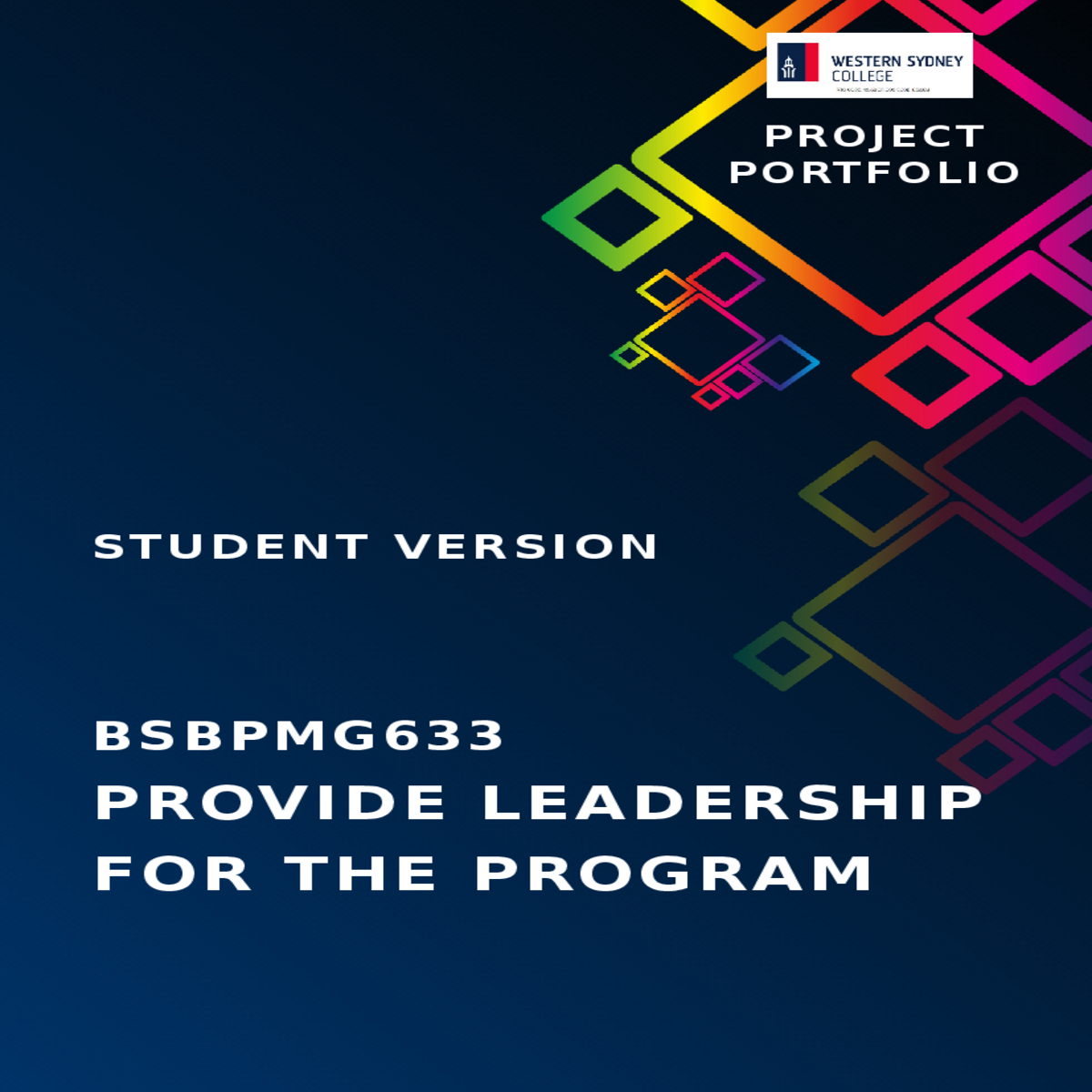 strategic plan provide leadership for the program
