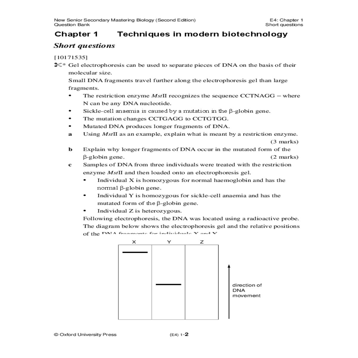 mthe dna fragment consists the and segments