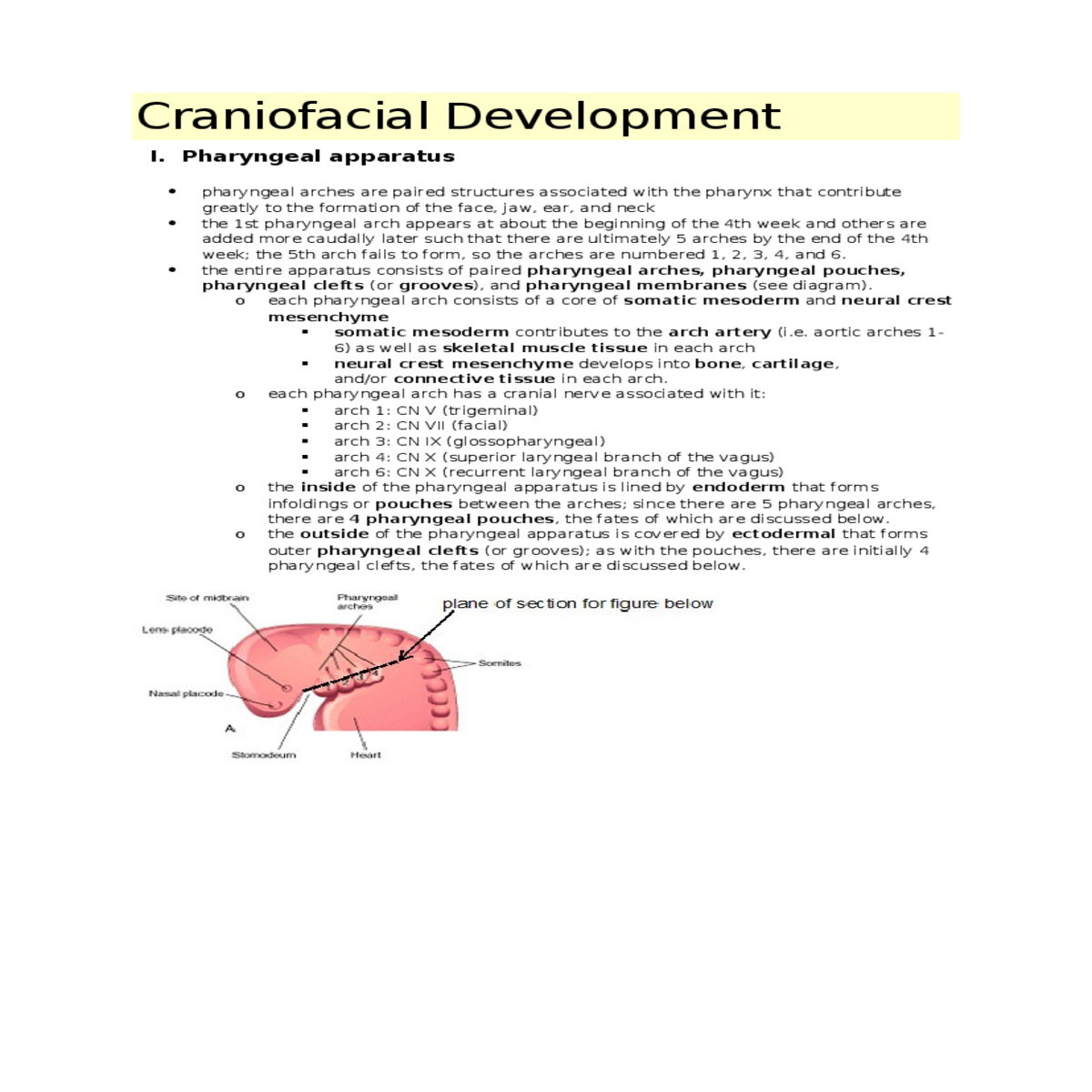 incomplete merging the maxillary and mandibular pr