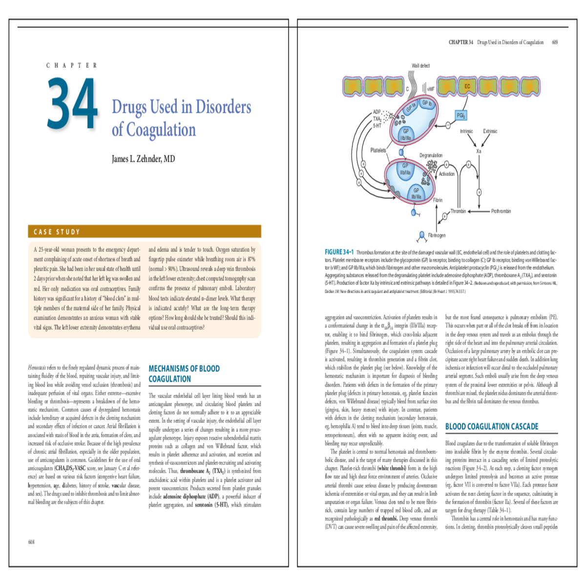 the cyclic nucleotides camp and cgmp