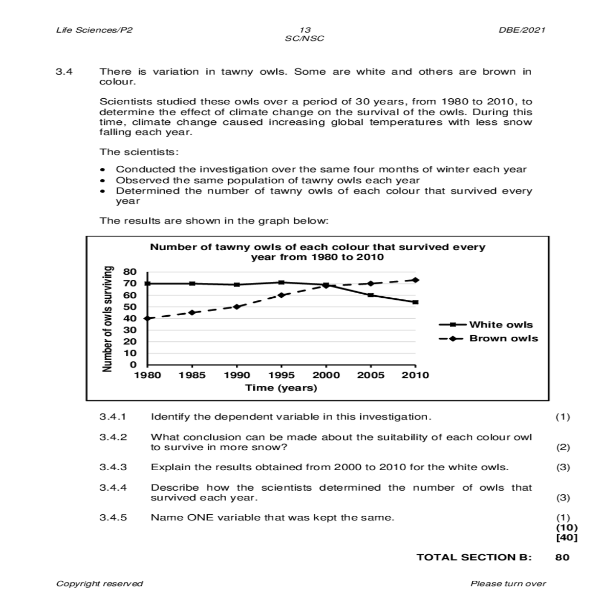flow charts diagrams section grand total copyright