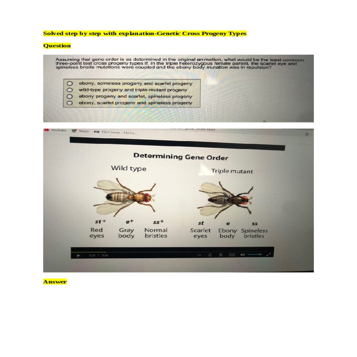 scarlet eye mutation affecting eye color
