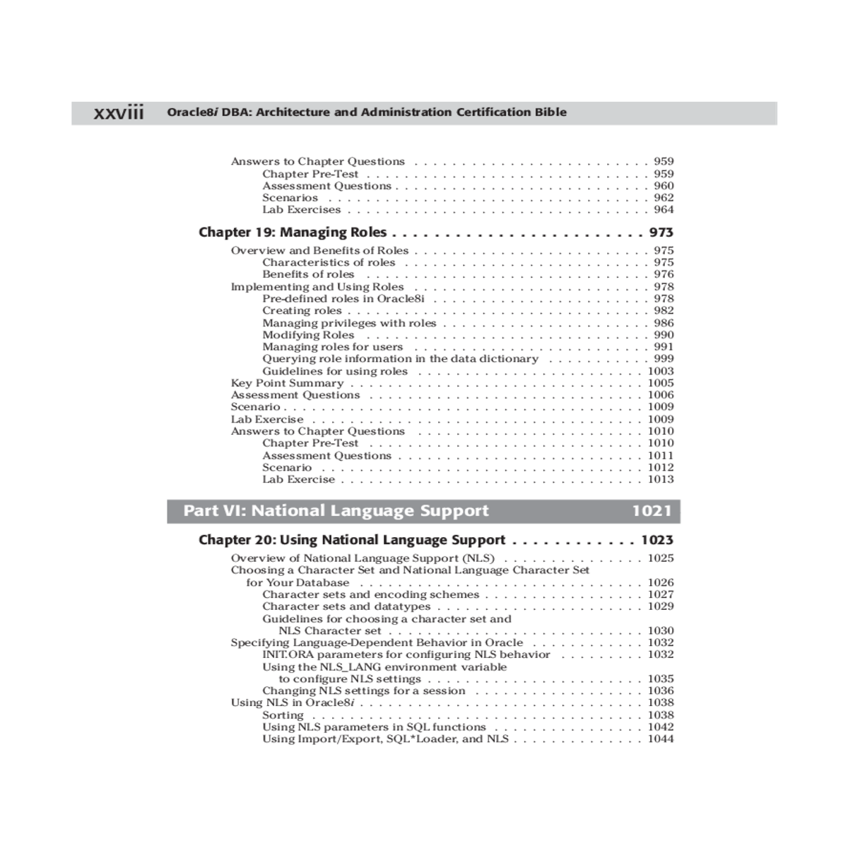 character sets and encoding schemes