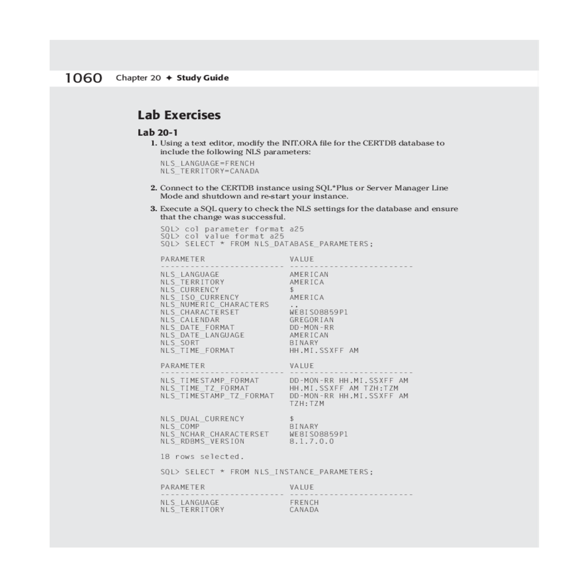 execute sql query determine your sessionlevel nls 