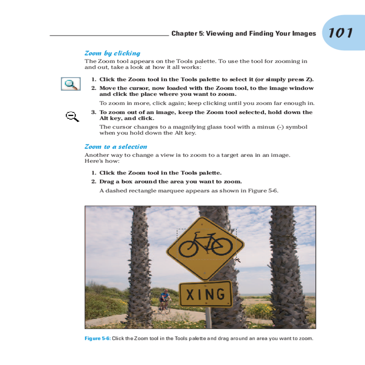 click the zoom tool the tools palette