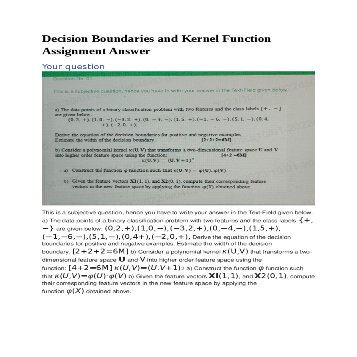decision boundaries and kernel function assignment