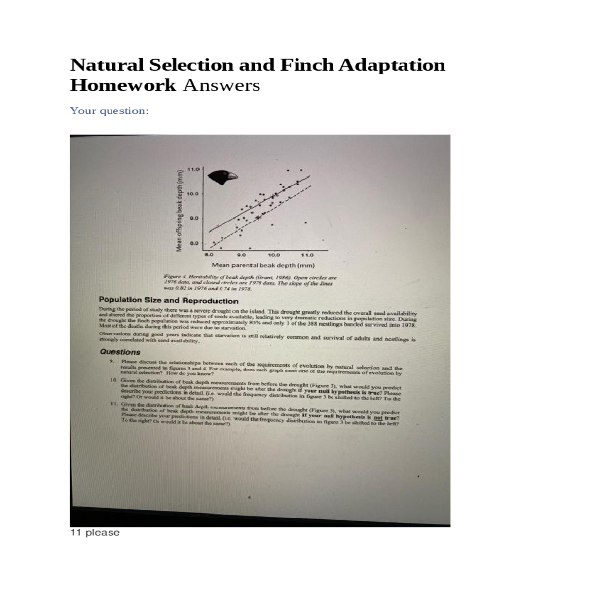 mean offspring beak depth mean parental beak depth