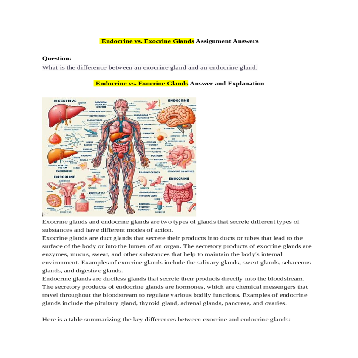 examples exocrine glands include the salivary glan