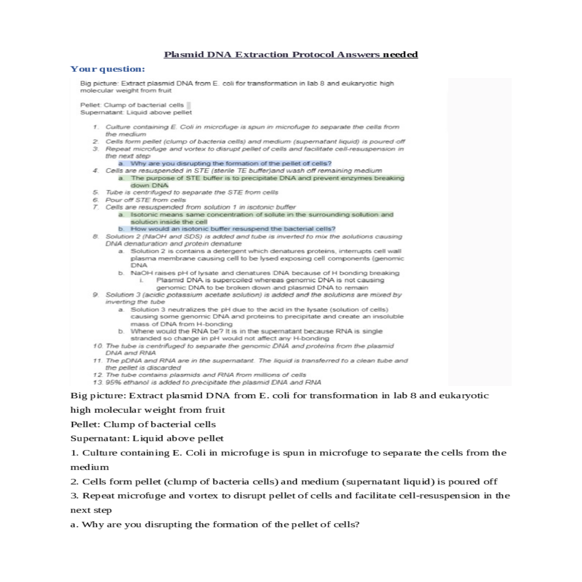 extracting plasmid dna from e coli for transformat