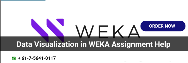 WEKA Course Help
