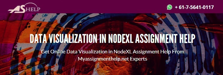 NodeXL Course Help