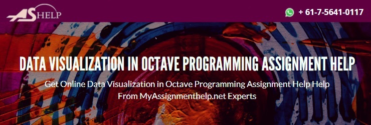 Octave Programming Course Help