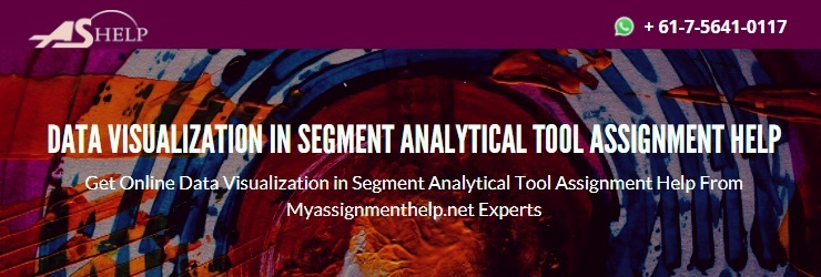 Segment Analytical Tool Course Help