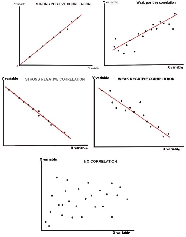 Bivariate Frequency Distribution image 1