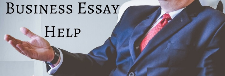 Business Essay Help