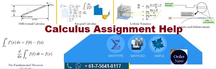 calculus Assignment Help
