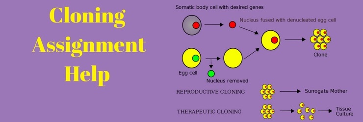 Cloning Assignment Help Cloning Assignment Help