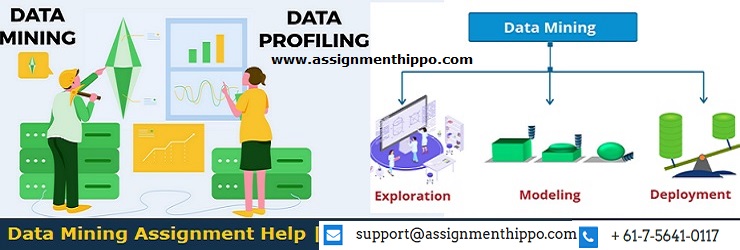 Data Mining Assignment Help