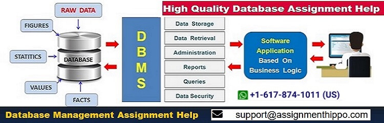 Database Assignment Help