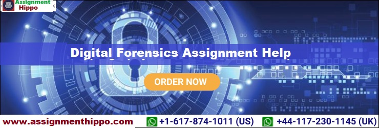 Digitaal Forensics Assignment Help