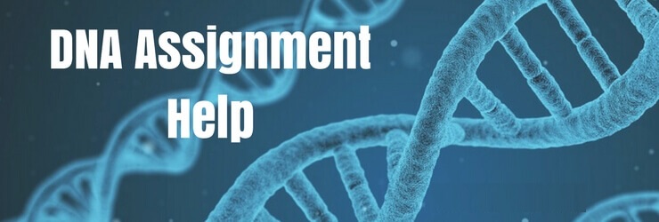DNA Assignment Help DNA Assignment Help