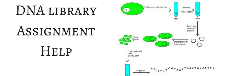 DNA library Assignment Help DNA library Assignment Help