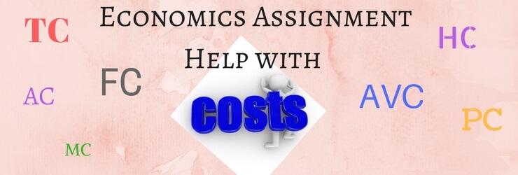 Economics Assignment Help with Costs Economics Assignment Help with Costs