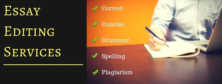 Essay editing Services