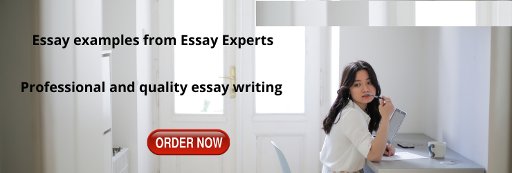 Essay examples Assignment Help