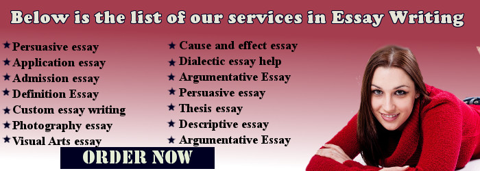 essay writing service