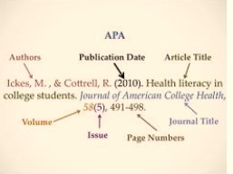 format for the journal citation in APA referencing