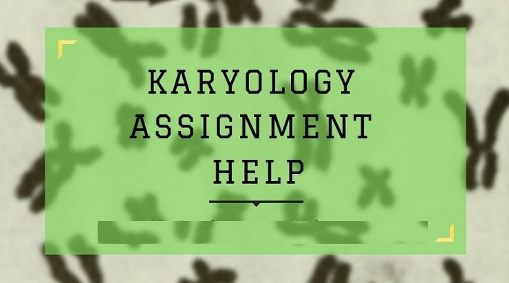 Karyology Assignment Help