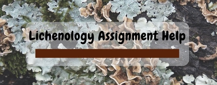 Lichenology Assignment Help