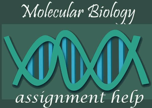 Molecular Biology Assignment Help Molecular Biology Assignment Help