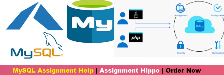 MySQL Assignment Help