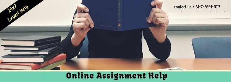online Assignment Help