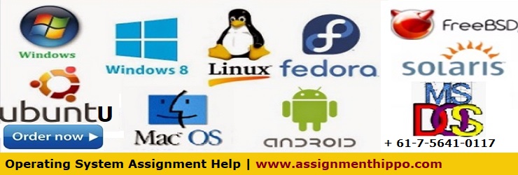 Operating System Assignment Help