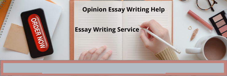 Opinion essay writing help