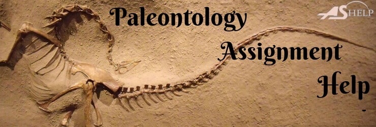 Paleontology Assignment Help
