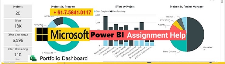 Power BI Homework Help